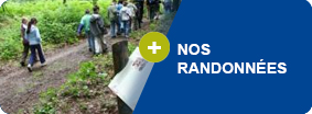 Nos randonnées