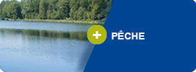 Pêche
